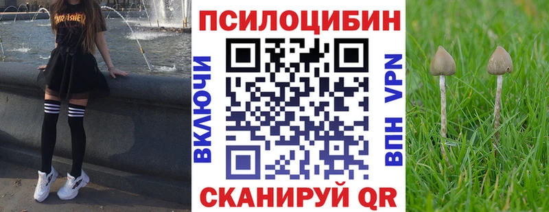 Галлюциногенные грибы GOLDEN TEACHER  где продают наркотики  Котельнич 